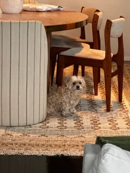 New Athlete 1's profile photo