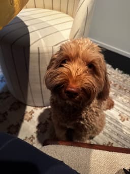 Buzz LightYear's profile photo